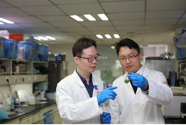 重大成果!中国科学家又有新突破!(图3) 35.png