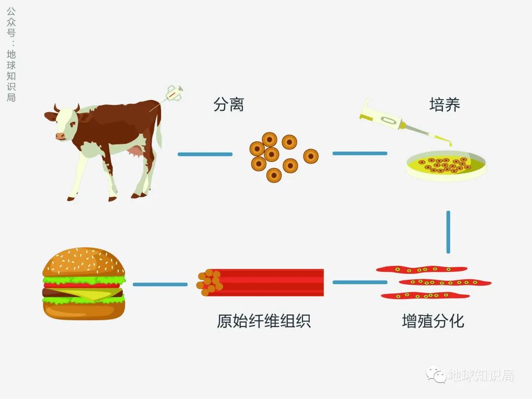 人造肉越来越多,你可能已经无意中吃过了(图2) 34.jpg