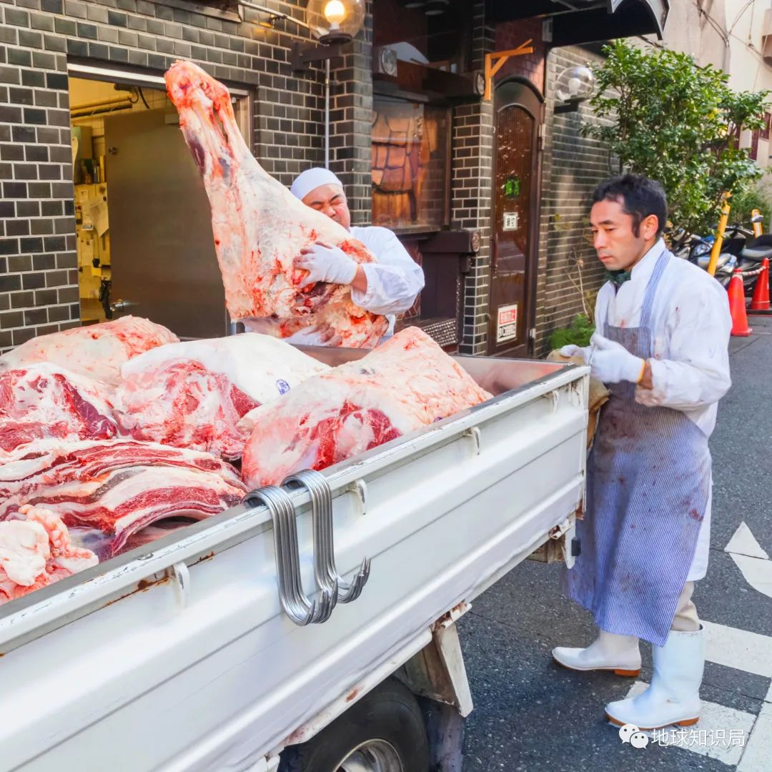 人造肉越来越多,你可能已经无意中吃过了(图7) 39.jpg