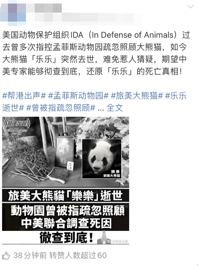中国大熊猫离奇客死美国死因成谜,动物园曾被指虐待!网友:看看新加坡是怎么宠熊猫的!(图8) 46.png