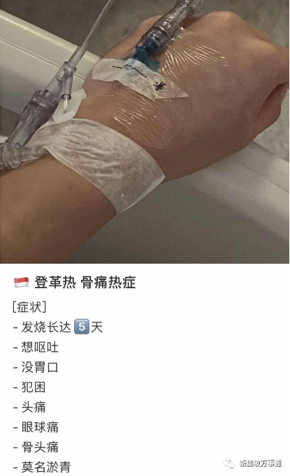 新冠+流感+骨痛热!3大病毒“围攻”新加坡,诊所大排长龙,已有学校停课!(图9) 33.png