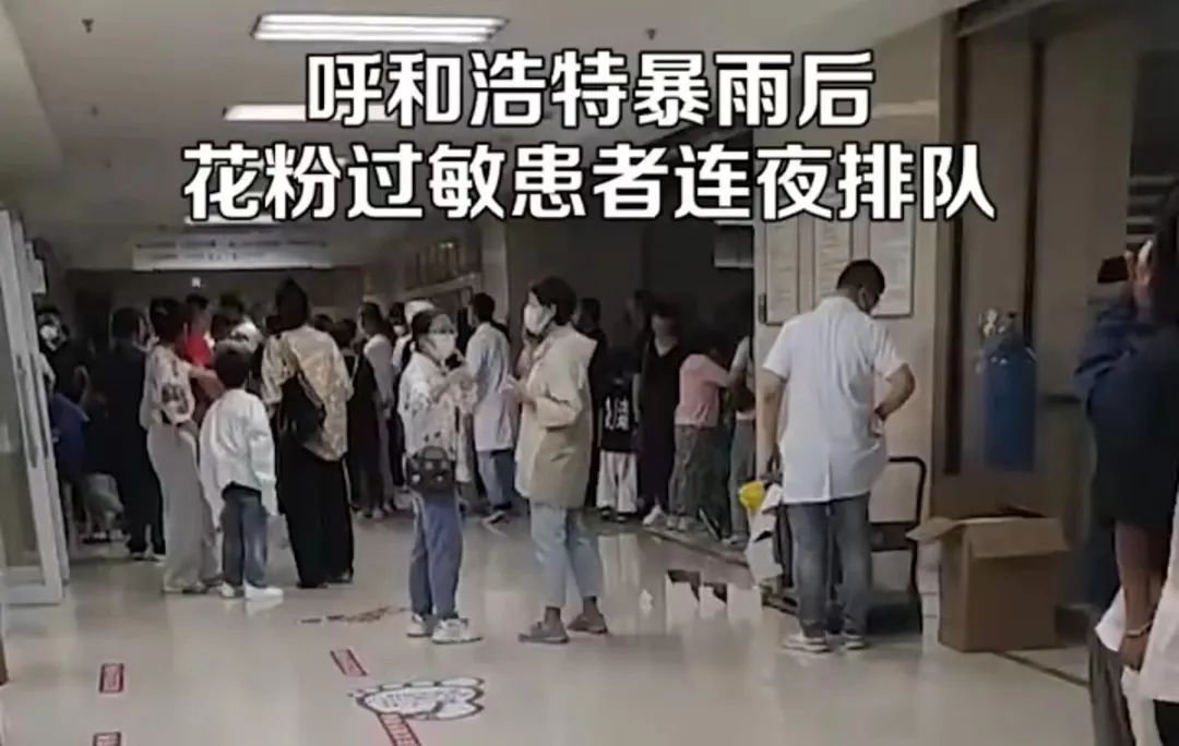 “雷暴哮喘”上热搜,医生提醒(图1) 1.jpg