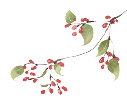 金日光教授:【《黄帝内经》所深藏的奥秘•之三十四】中医和针灸界比较公认的重要穴位有哪些及根据什么选择最佳针灸时间?(图3) 图片