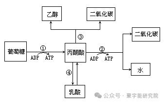 金日光教授:【《黄帝内经》所深藏的奥秘•之七十三】有些群友问我,煤气、亚麻粉尘、铝粉尘、皮革粉尘等怎么能爆炸?还能致使人死亡?(图4) 14.png