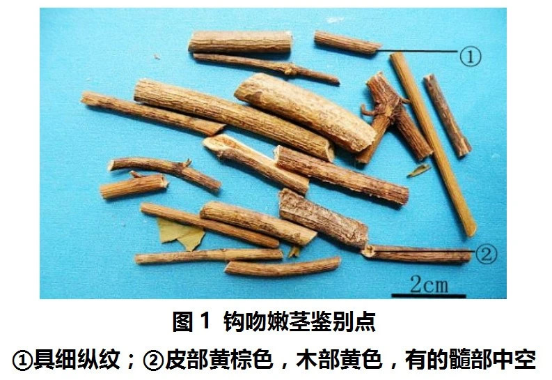 微信图片_202501062207432.jpg