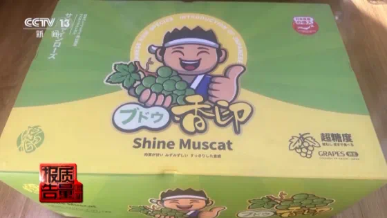 微信图片_20250107214708.png
