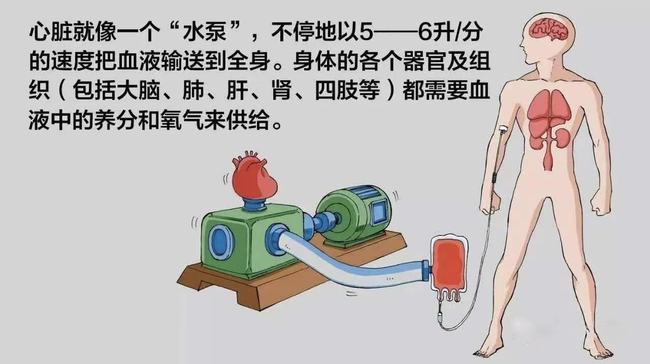微信图片_20250221220900.jpg