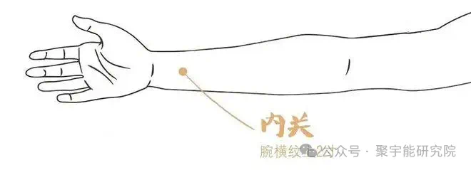 金日光教授:【永不忘当年钱老劝导我们“用当代科学传承《黄帝内经》医理和建立《中药本草》科学药理标准”的教导】• 二十一(图4) 微信图片_202502212209001.png