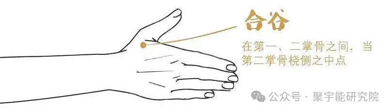 金日光教授:【永不忘当年钱老劝导我们“用当代科学传承《黄帝内经》医理和建立《中药本草》科学药理标准”的教导】• 二十一(图6) 微信图片_202502212209002.png