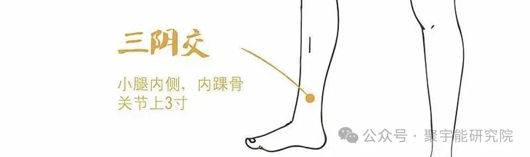 金日光教授:【永不忘当年钱老劝导我们“用当代科学传承《黄帝内经》医理和建立《中药本草》科学药理标准”的教导】• 二十一(图8) 微信图片_202502212209003.png