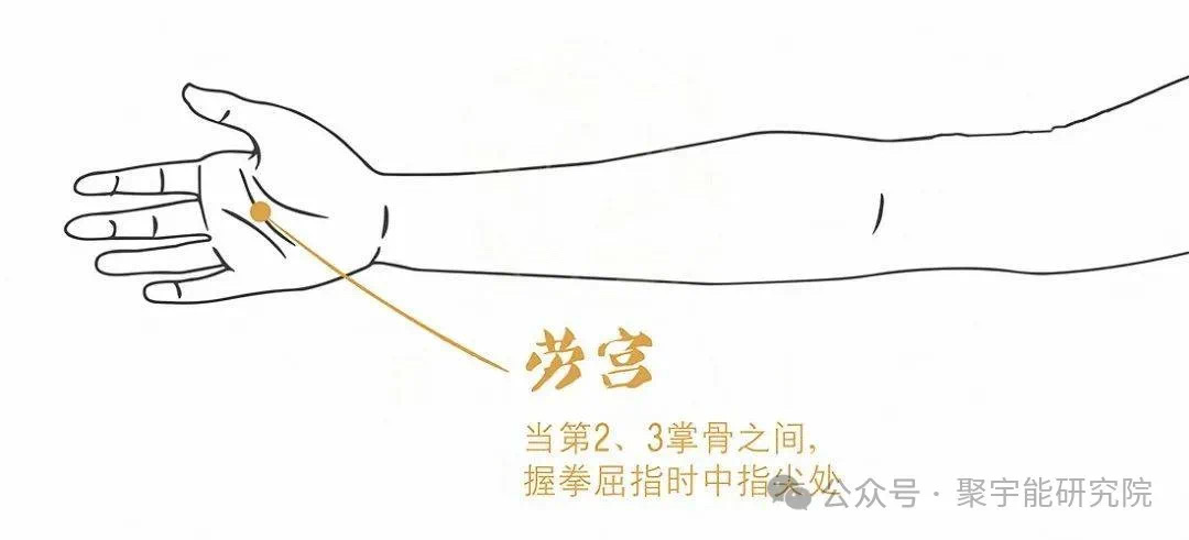 金日光教授:【永不忘当年钱老劝导我们“用当代科学传承《黄帝内经》医理和建立《中药本草》科学药理标准”的教导】• 二十二(图2) 微信图片_202502212209001.jpg