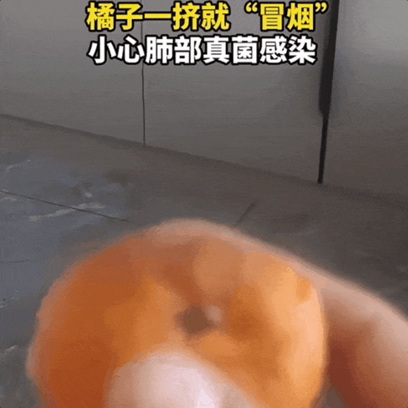 一个发霉的橘子,可卖上千元?(图4) 图片