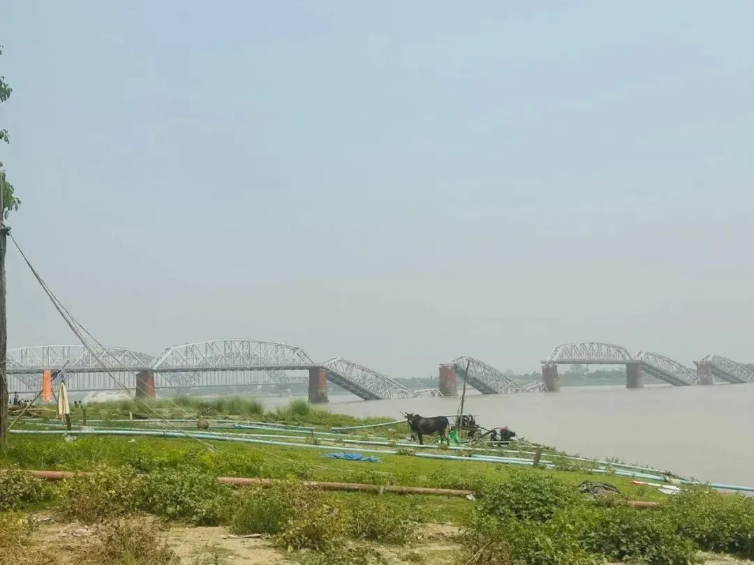 缅甸遭遇100年来最严重地震,会影响电诈园区吗?(图9) 唐驳虎:缅甸遭遇100年来最严重地震,会影响电诈园区吗?