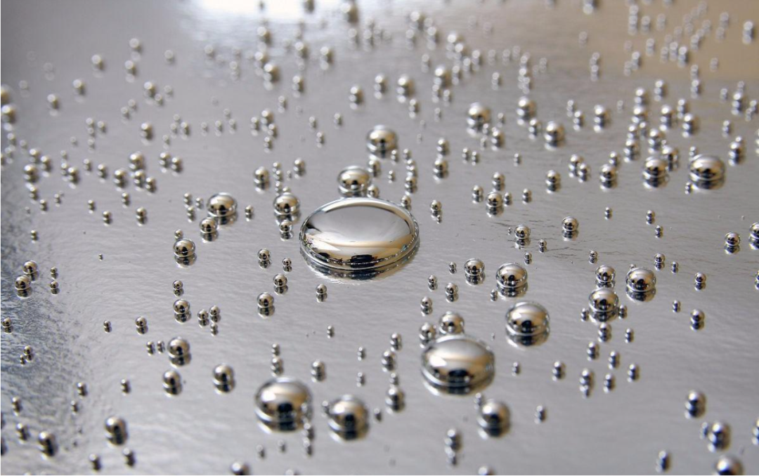 金日光教授：【永不忘当年钱老劝导我们“用当代科学传承《黄帝内经》医理和建立《中药本草》科学药理标准”的教导】• 三十七(图10)