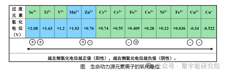 从量子化学的角度去解释“精、气、神”（下）