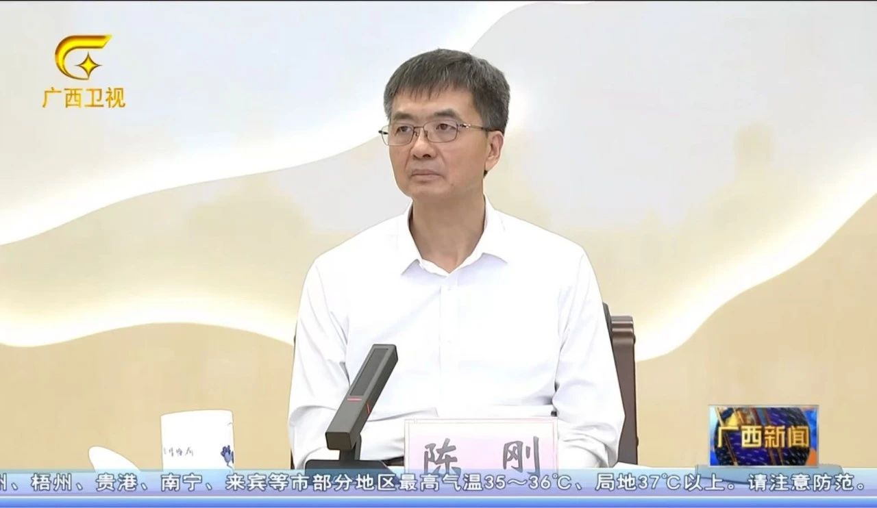 倒查十年、从严从重！陈刚：发现一个查处一个，决不手软