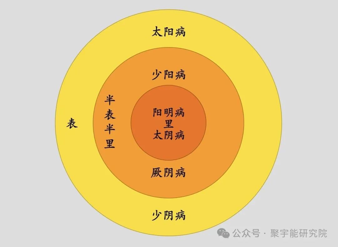 金日光教授：（七十四）永不忘当年钱老劝导我们“用当代科学传承《黄帝内经》医理和建立《中药本草》科学药理标准”的教导(图12)