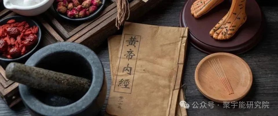 金日光教授：（七十四）永不忘当年钱老劝导我们“用当代科学传承《黄帝内经》医理和建立《中药本草》科学药理标准”的教导(图7)