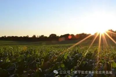 你敢信吗？曾经的 “死亡地带” 也能变良田！(图5)