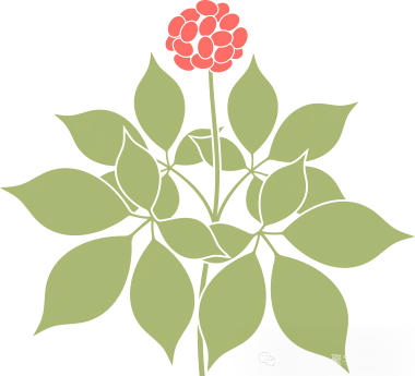 金日光教授：（七十五）永不忘当年钱老劝导我们“用当代科学传承《黄帝内经》医理和建立《中药本草》科学药理标准”的教导(图3)