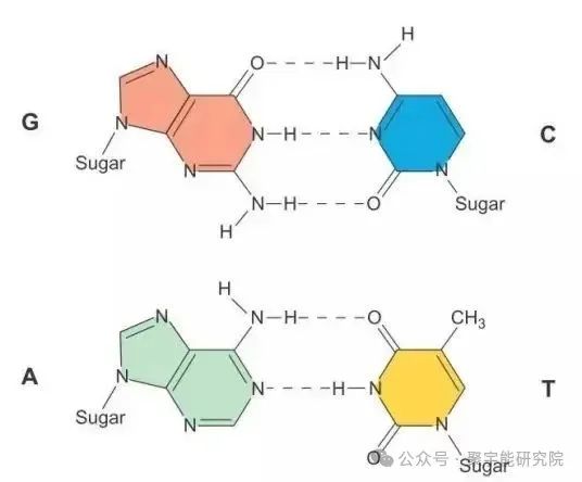 金日光教授：（七十五）永不忘当年钱老劝导我们“用当代科学传承《黄帝内经》医理和建立《中药本草》科学药理标准”的教导(图7)