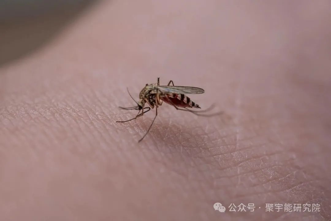 金日光教授：（七十五）永不忘当年钱老劝导我们“用当代科学传承《黄帝内经》医理和建立《中药本草》科学药理标准”的教导(图9)