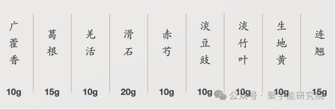 金日光教授：（七十五）永不忘当年钱老劝导我们“用当代科学传承《黄帝内经》医理和建立《中药本草》科学药理标准”的教导(图12)