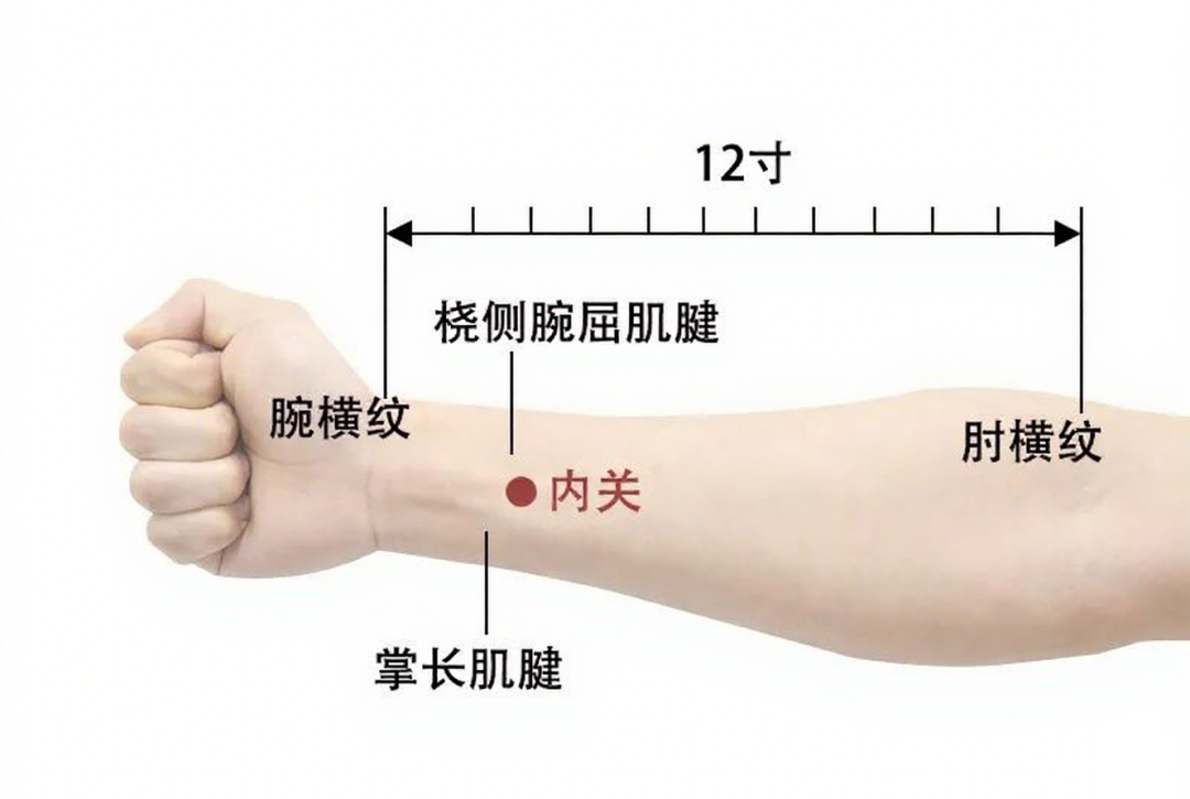 金日光教授：（七十八）永不忘当年钱老劝导我们“用当代科学传承《黄帝内经》医理和建立《中药本草》科学药理标准”的教导(图5)