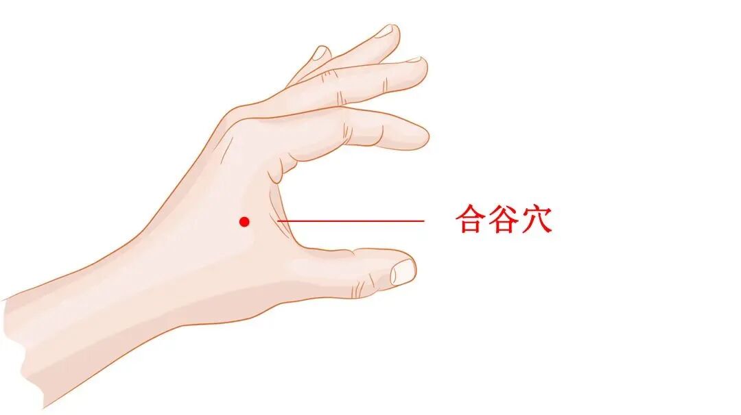 金日光教授：（七十八）永不忘当年钱老劝导我们“用当代科学传承《黄帝内经》医理和建立《中药本草》科学药理标准”的教导(图10)