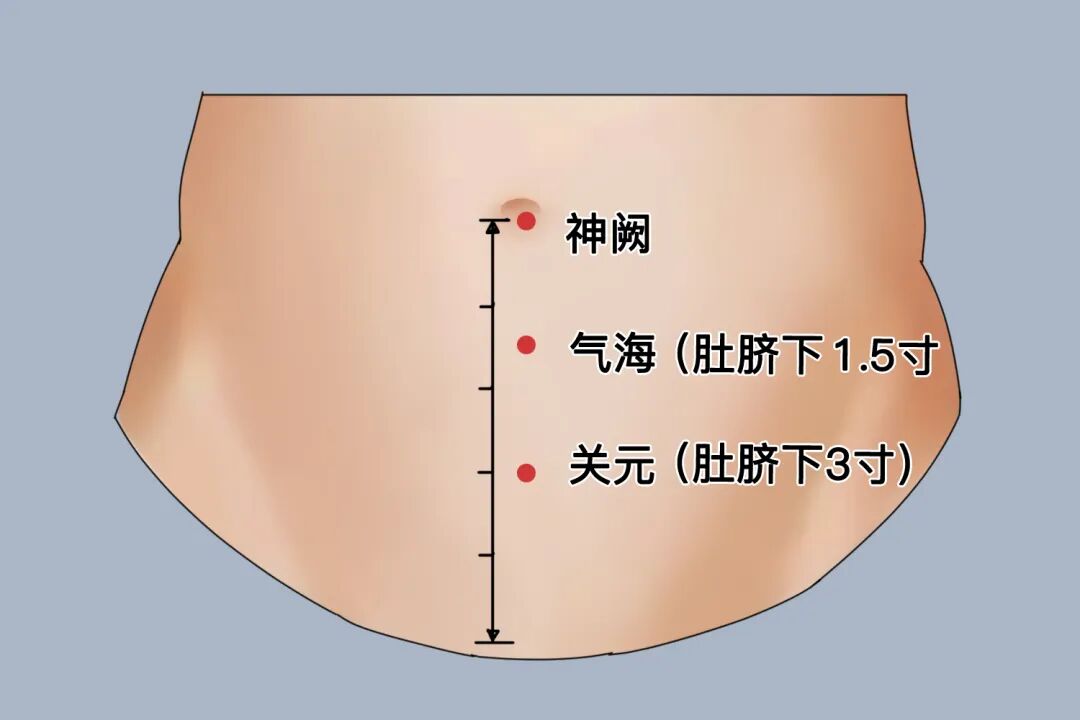 金日光教授：（七十八）永不忘当年钱老劝导我们“用当代科学传承《黄帝内经》医理和建立《中药本草》科学药理标准”的教导(图15)