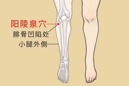 金日光教授：（七十八）永不忘当年钱老劝导我们“用当代科学传承《黄帝内经》医理和建立《中药本草》科学药理标准”的教导(图22)