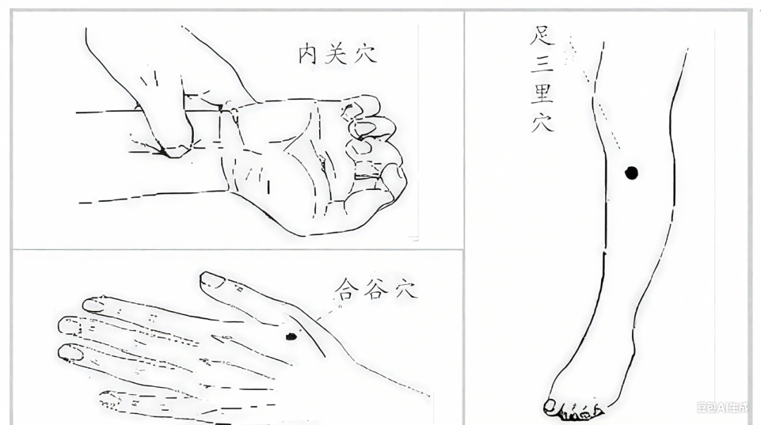 金日光教授：（七十八）永不忘当年钱老劝导我们“用当代科学传承《黄帝内经》医理和建立《中药本草》科学药理标准”的教导(图27)