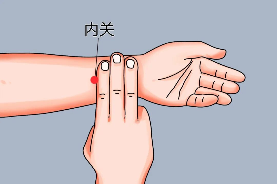 金日光教授：（七十八）永不忘当年钱老劝导我们“用当代科学传承《黄帝内经》医理和建立《中药本草》科学药理标准”的教导(图25)