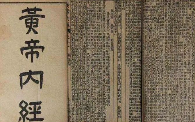 金日光教授：（八十一｜下）永不忘当年钱老劝导我们“用当代科学传承《黄帝内经》医理和建立《中药本草》科学药理标准”的教导(图6)