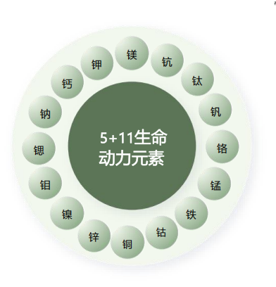 5a.png