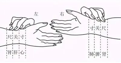 新篇|金日光教授:(八)如何看待当前的医理和药理?(图6) 新篇|金日光教授:(八)如何看待当前的医理和药理?(图6)