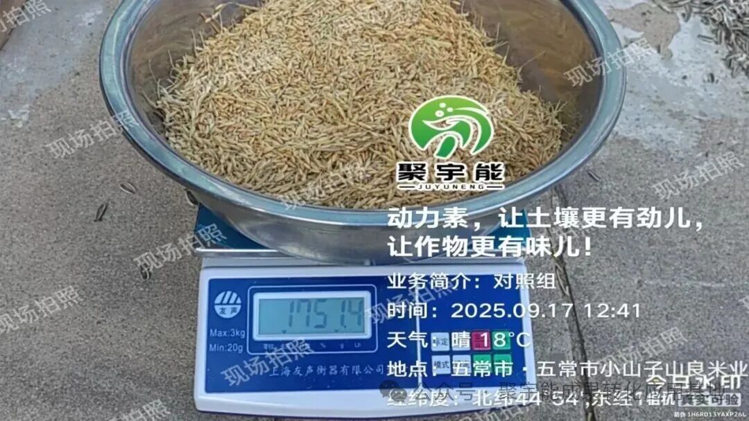 聚宇能动力素赋能五常稻花香(图4) 聚宇能动力素赋能五常稻花香(图4)