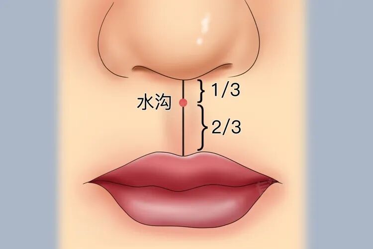 金日光教授:(十三)如何看待当前的医理和药理?(图4) 金日光教授:(十三)如何看待当前的医理和药理?(图4)