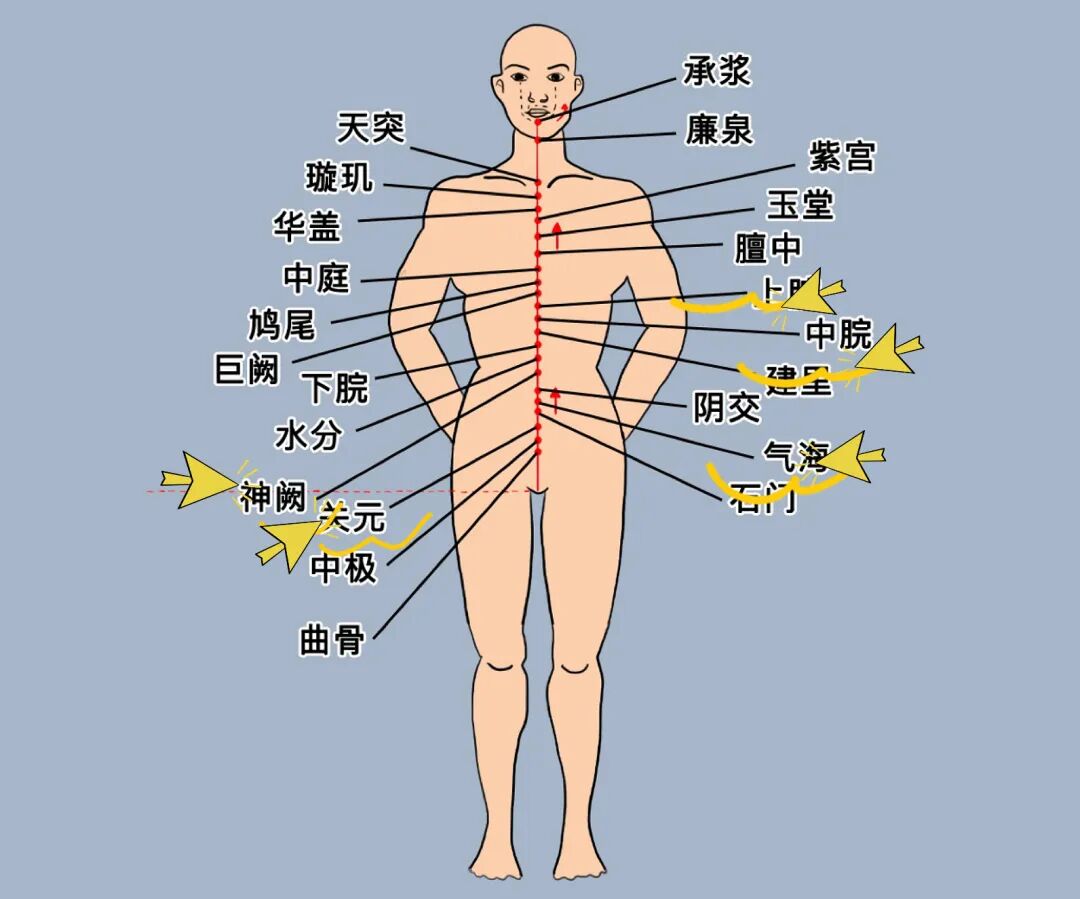金日光教授:(十三)如何看待当前的医理和药理?(图10) 金日光教授:(十三)如何看待当前的医理和药理?(图10)