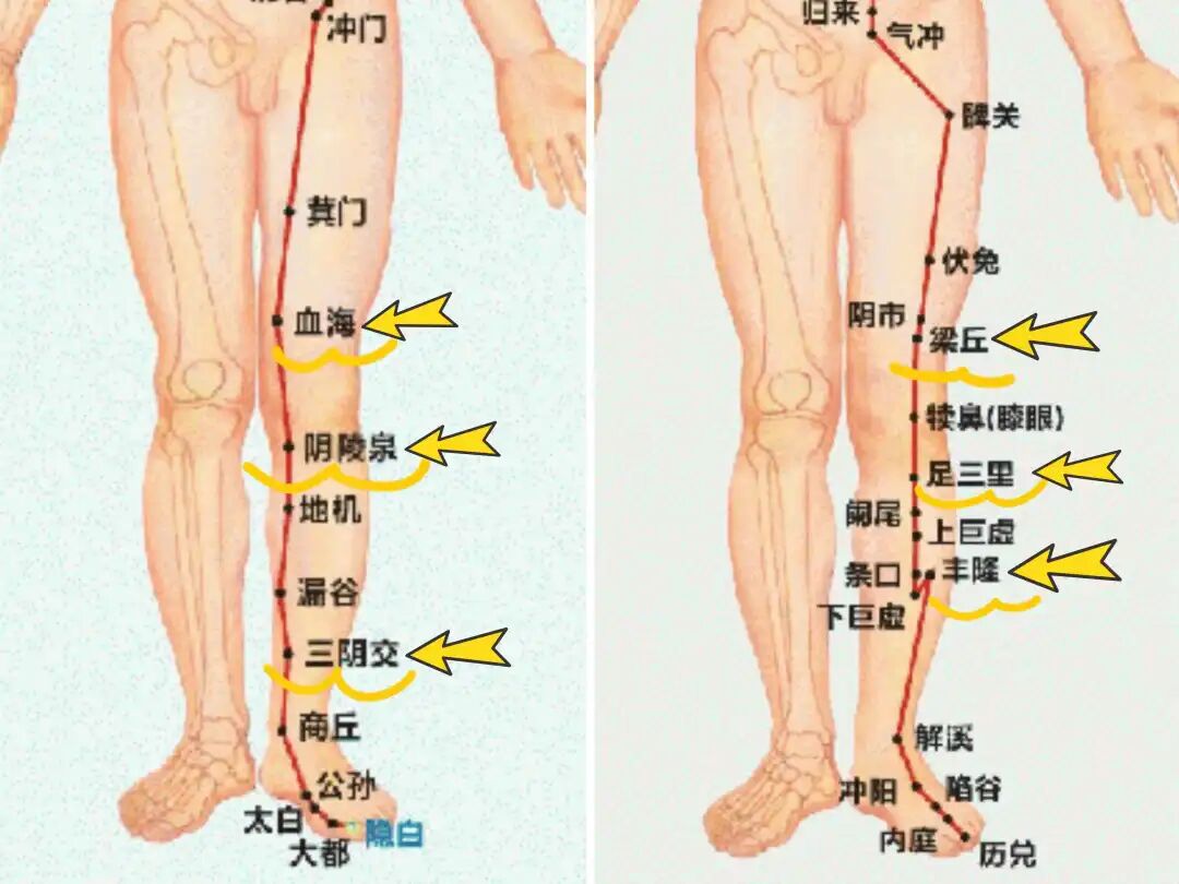 金日光教授:(十三)如何看待当前的医理和药理?(图18) 金日光教授:(十三)如何看待当前的医理和药理?(图18)