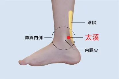 金日光教授:(十三)如何看待当前的医理和药理?(图20) 金日光教授:(十三)如何看待当前的医理和药理?(图20)