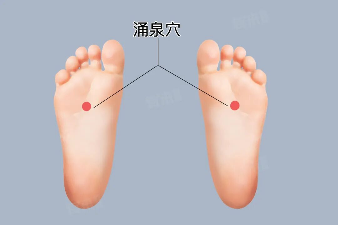 金日光教授:(十三)如何看待当前的医理和药理?(图22) 金日光教授:(十三)如何看待当前的医理和药理?(图22)