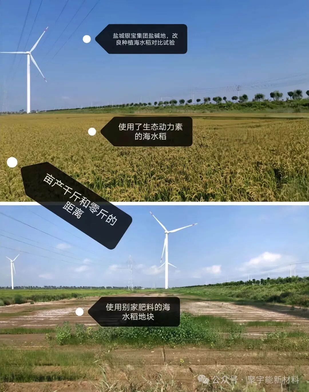 在生命的演化过程中,真的存在生命动力源吗?(图1) 在生命的演化过程中,真的存在生命动力源吗?(图1)
