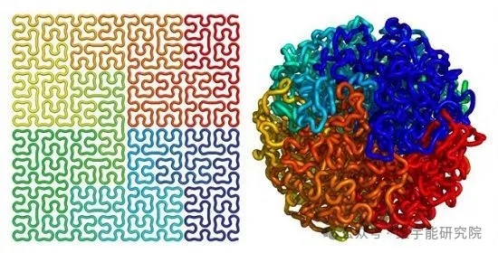 人和动物的寿命究竟由什么决定?(图7) 2.jpg