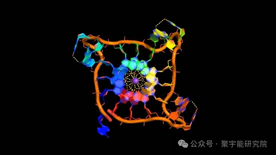 人和动物的寿命究竟由什么决定?(图9) 4.jpg