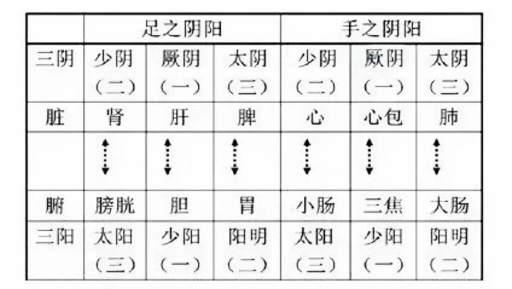 金日光教授:(十五)如何看待当前的医理和药理?(图5) 4.jpg