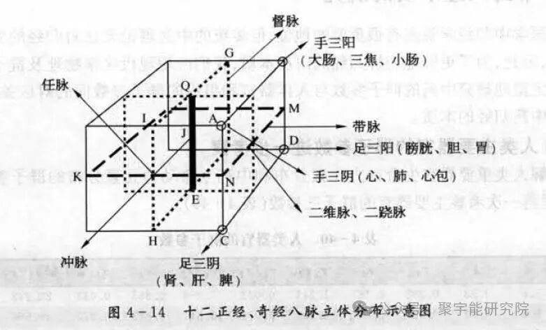 为什么把督脉称<阳海>,把任脉称为<阴海>?这两个脉,能为我们干点什么?(图2) 2.jpg
