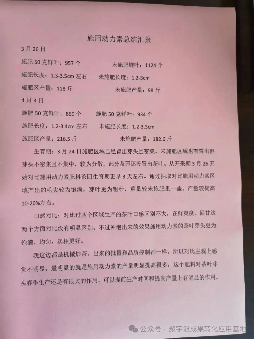 惊艳!聚宇能农用生态动力素赋能茶叶种植,品质增产双丰收!(图9) 惊艳!聚宇能农用生态动力素赋能茶叶种植,品质增产双丰收!(图9)