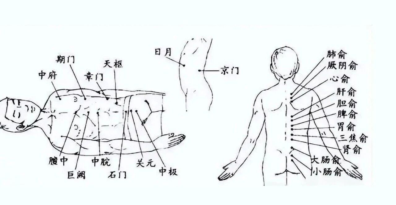 当代岐黄医理科学解读:人体经络的三层门户(图3) 2.jpg