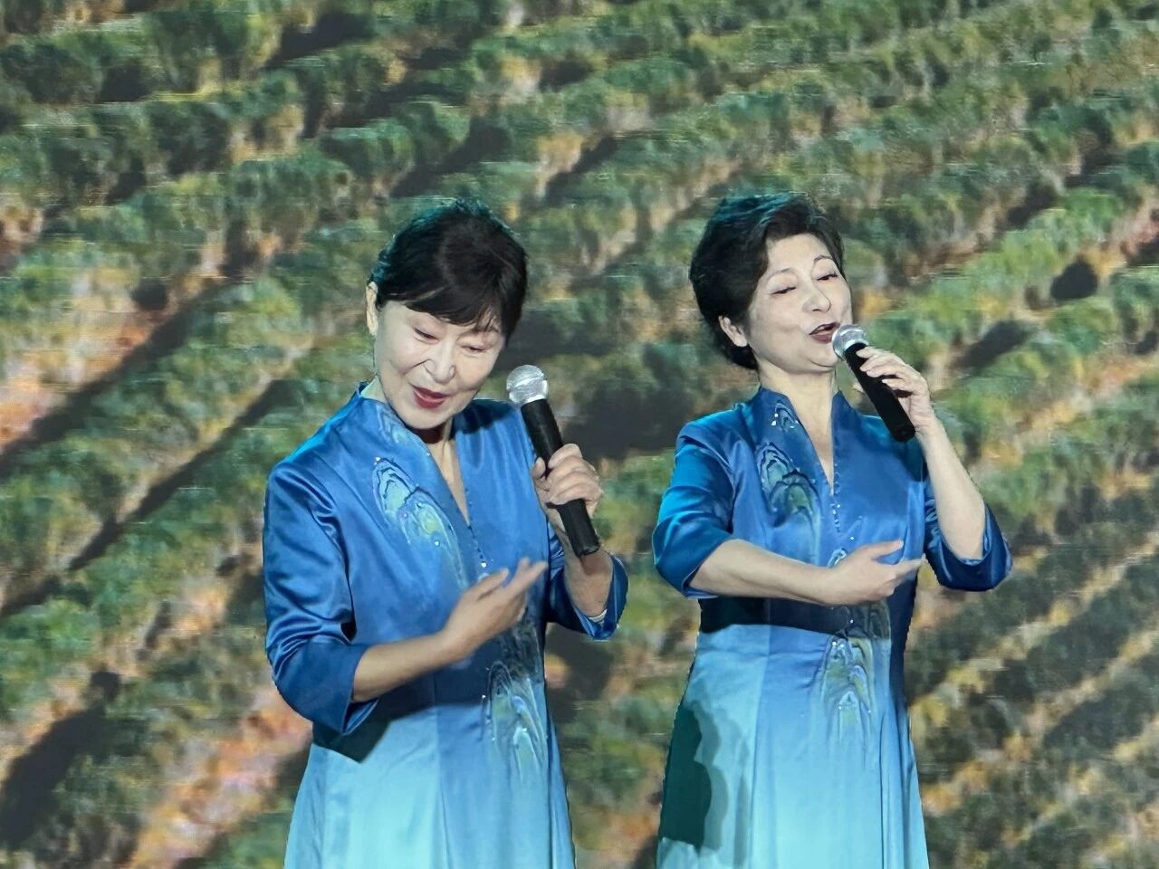 岑国荣丨骏马奔腾迎新春(图3) 2.jpg